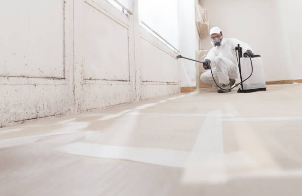 24/7 Emergency Mold Remediation experts in Trenton, NJ