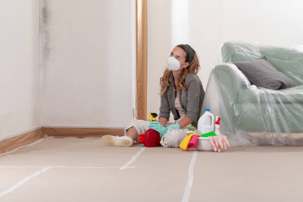 Reliable Mold Remediation contractor in Trenton, NJ by 24 Hour Mold Removal